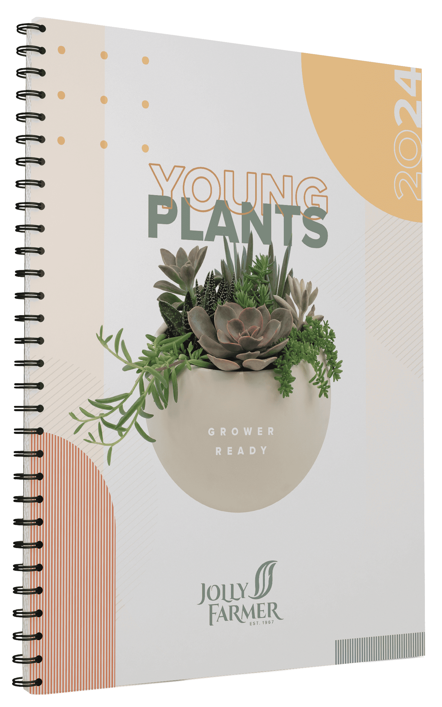 View our online catalog