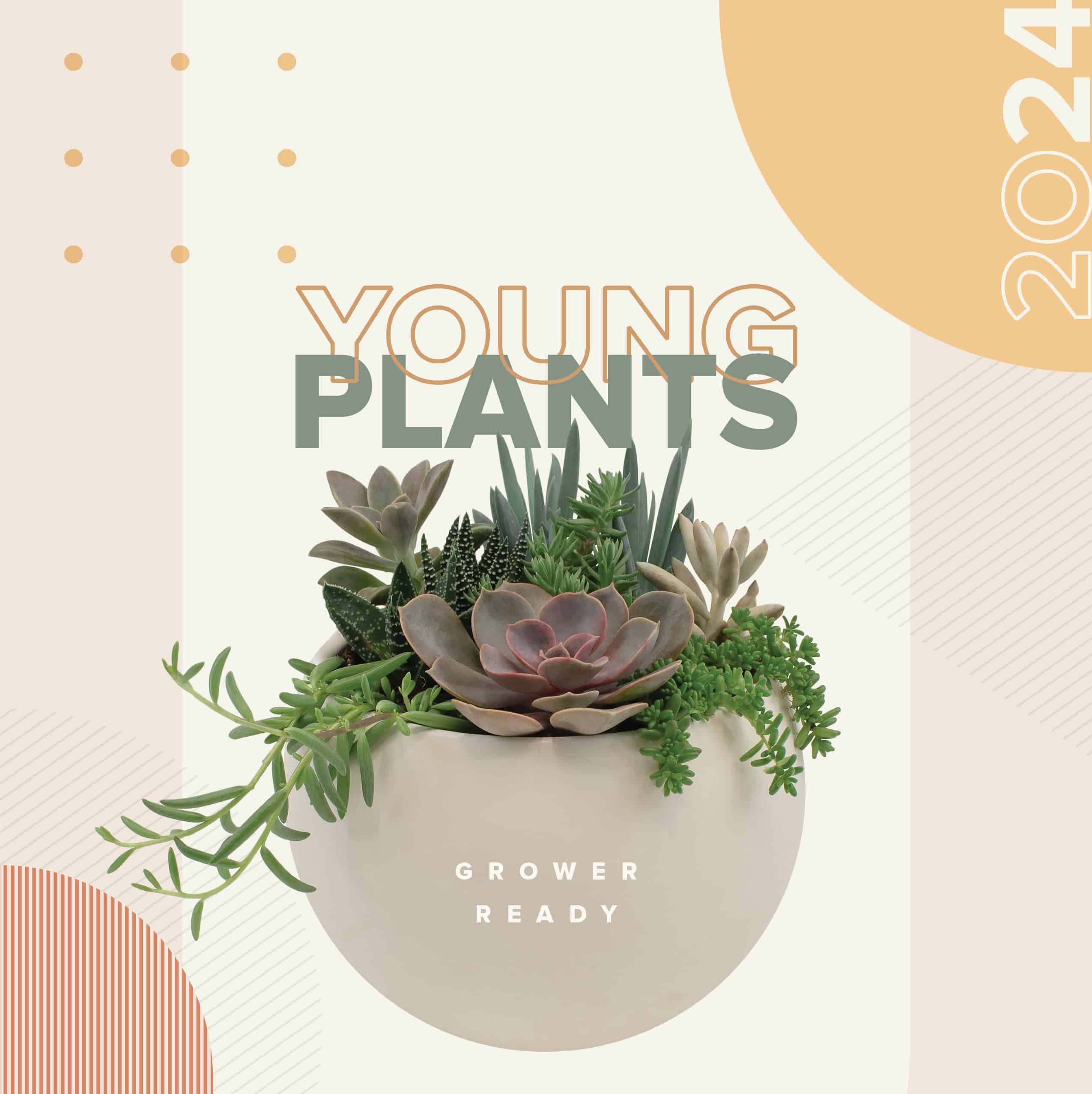 Young Plants