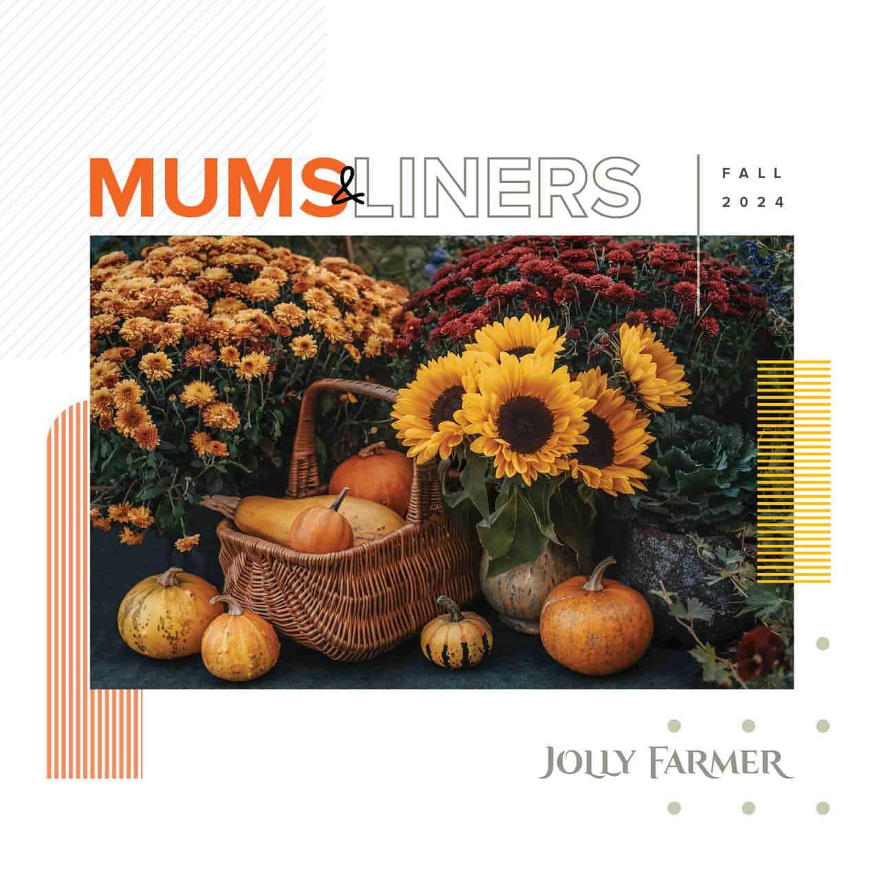Mums & Liners